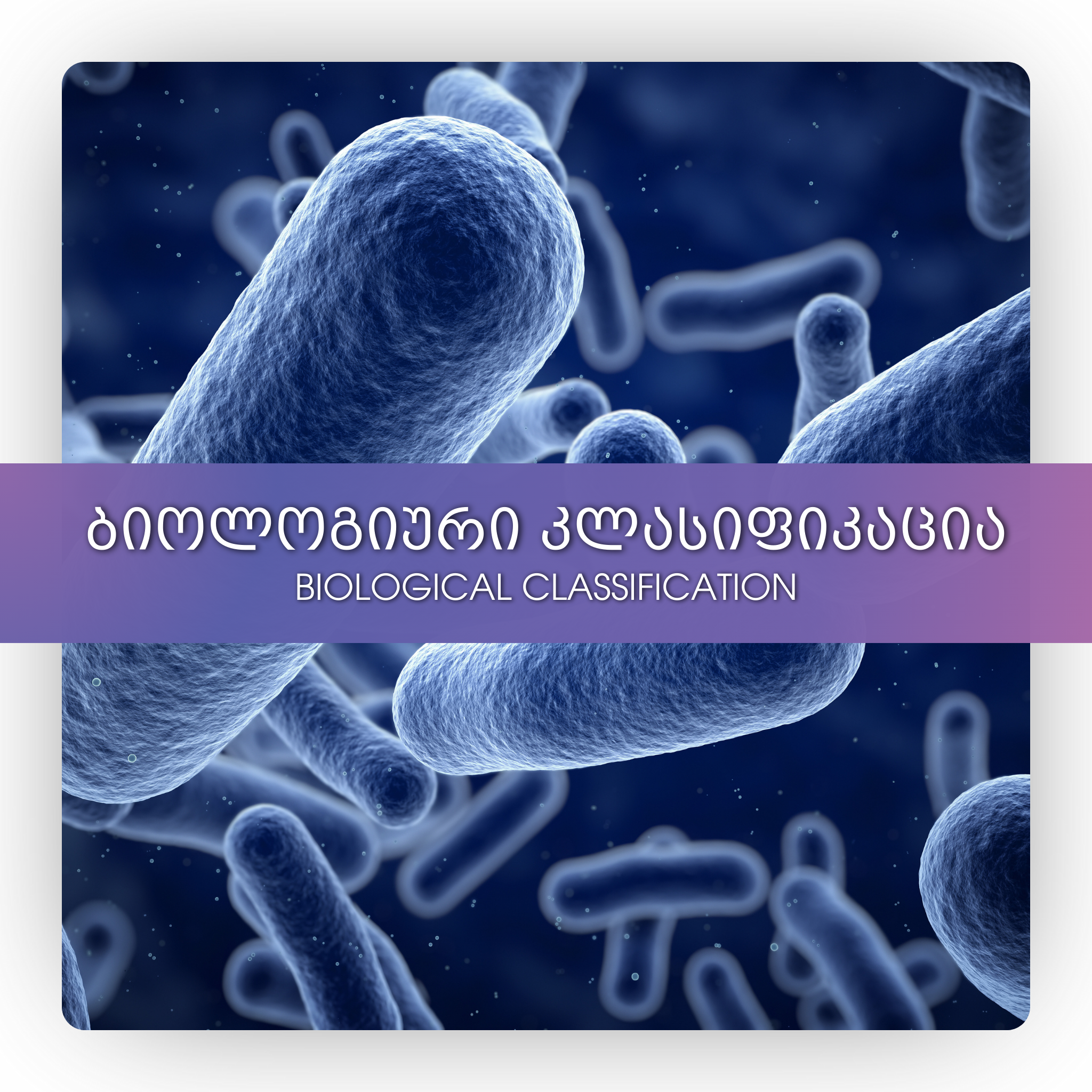 ბიოლოგიური კლასიფიკაცია