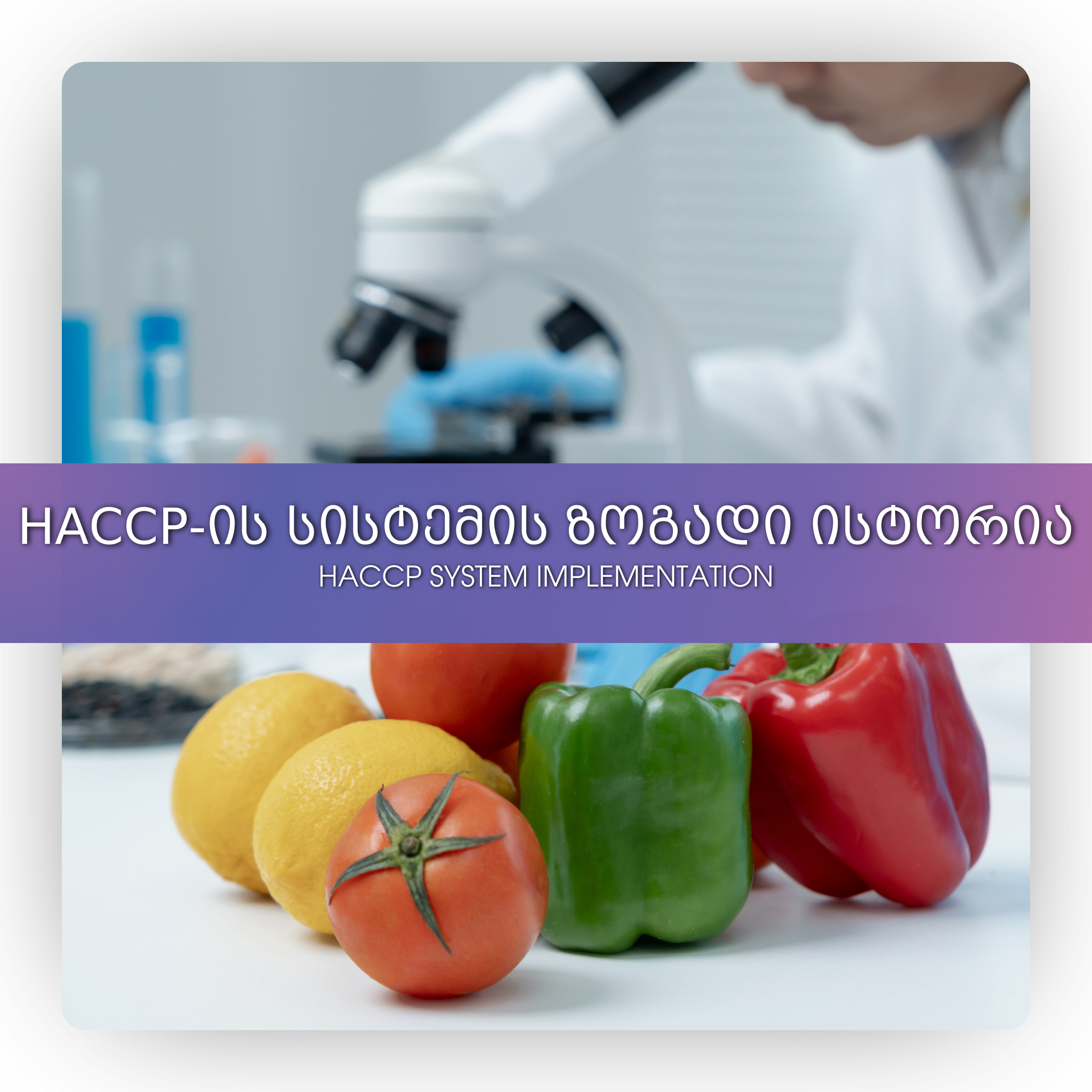 HACCP-ის სისტემის ზოგადი ისტორია
