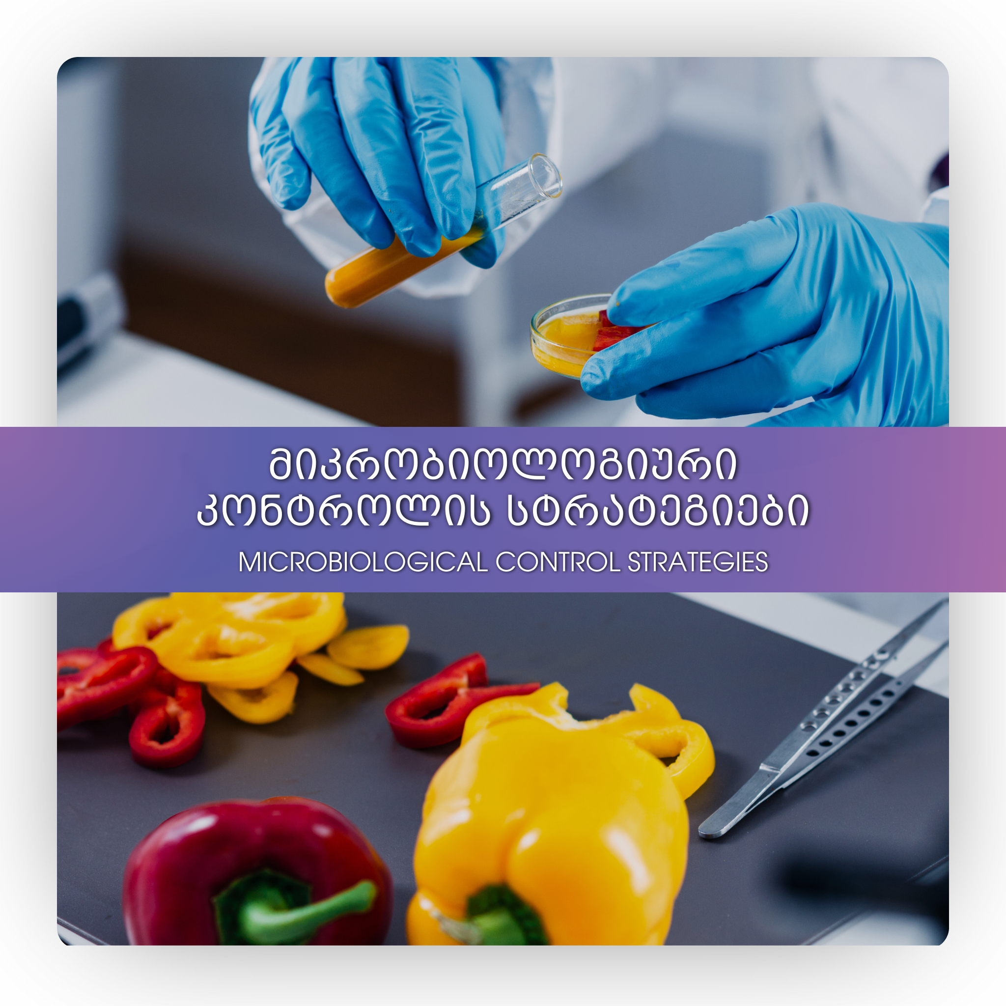 მიკრობიოლოგიური კონტროლის სტრატეგიები